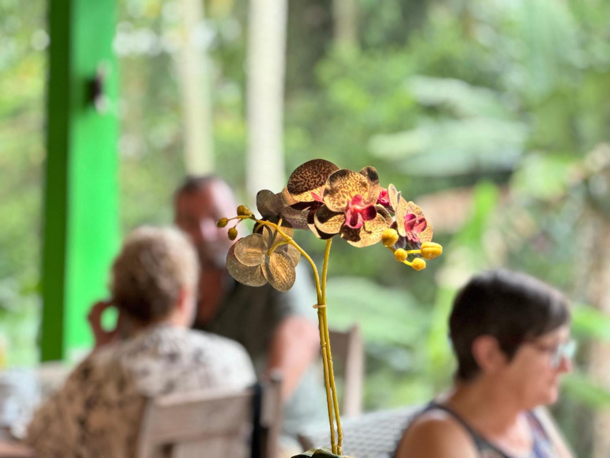 Dupa Ubud Exteriör bild