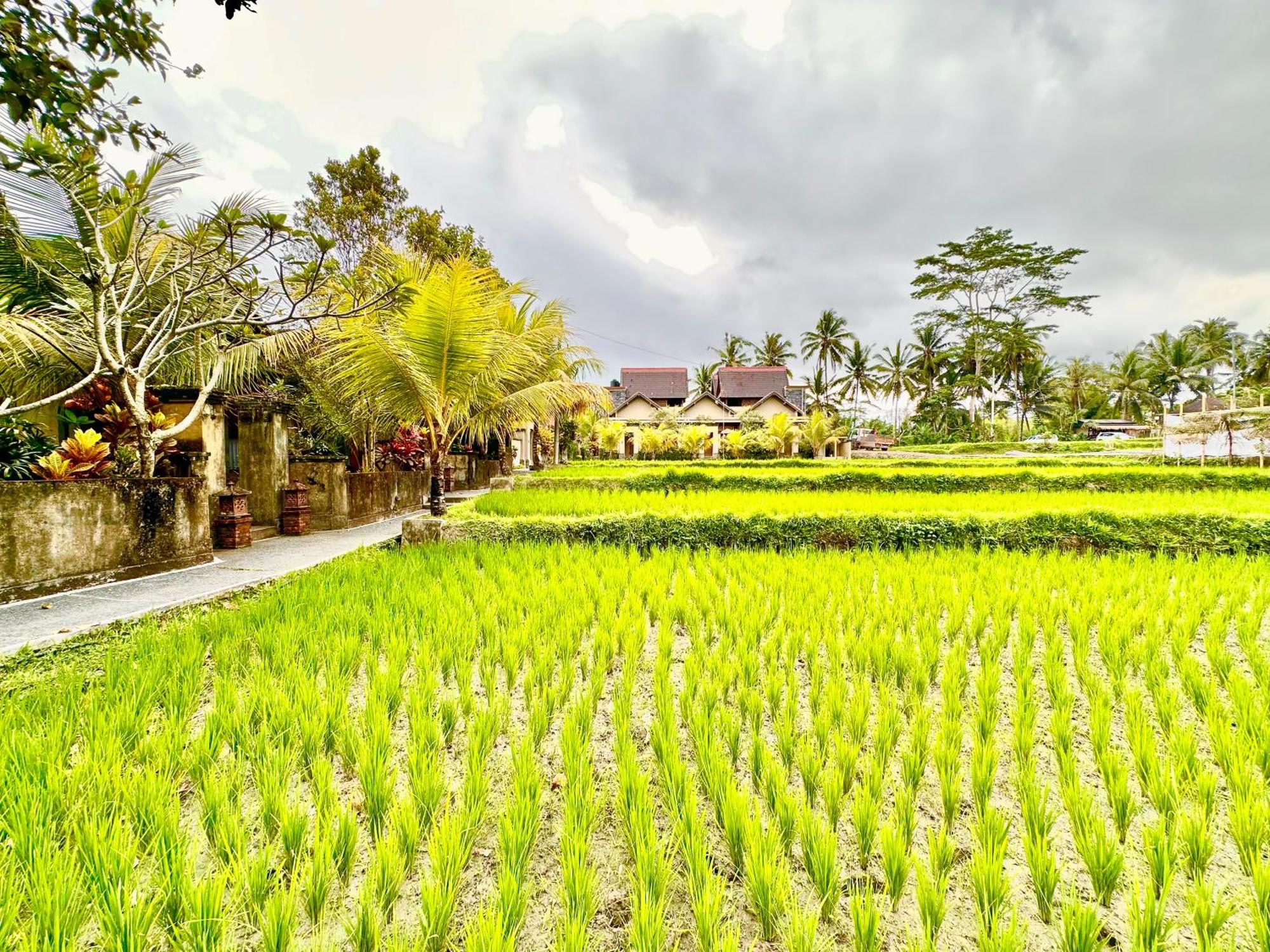 Dupa Ubud Exteriör bild