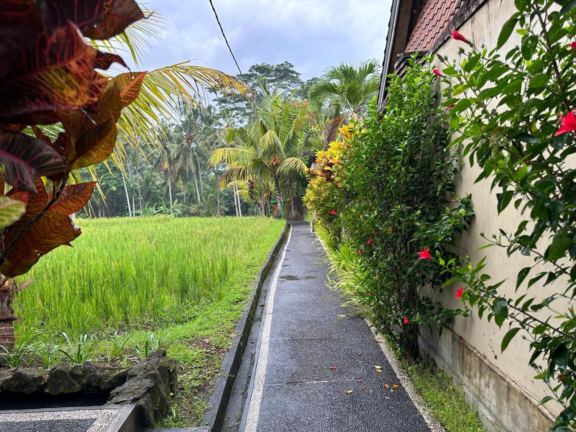 Dupa Ubud Exteriör bild