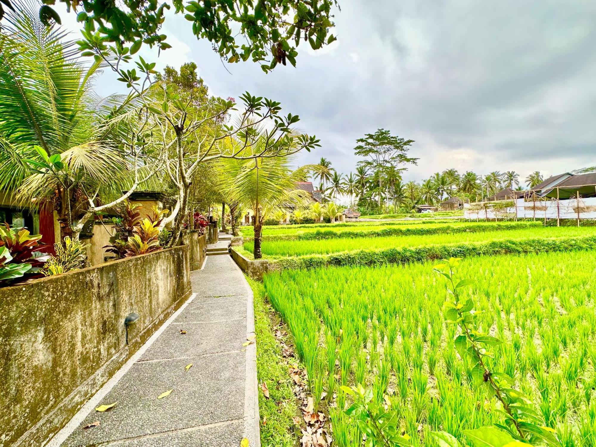 Dupa Ubud Exteriör bild