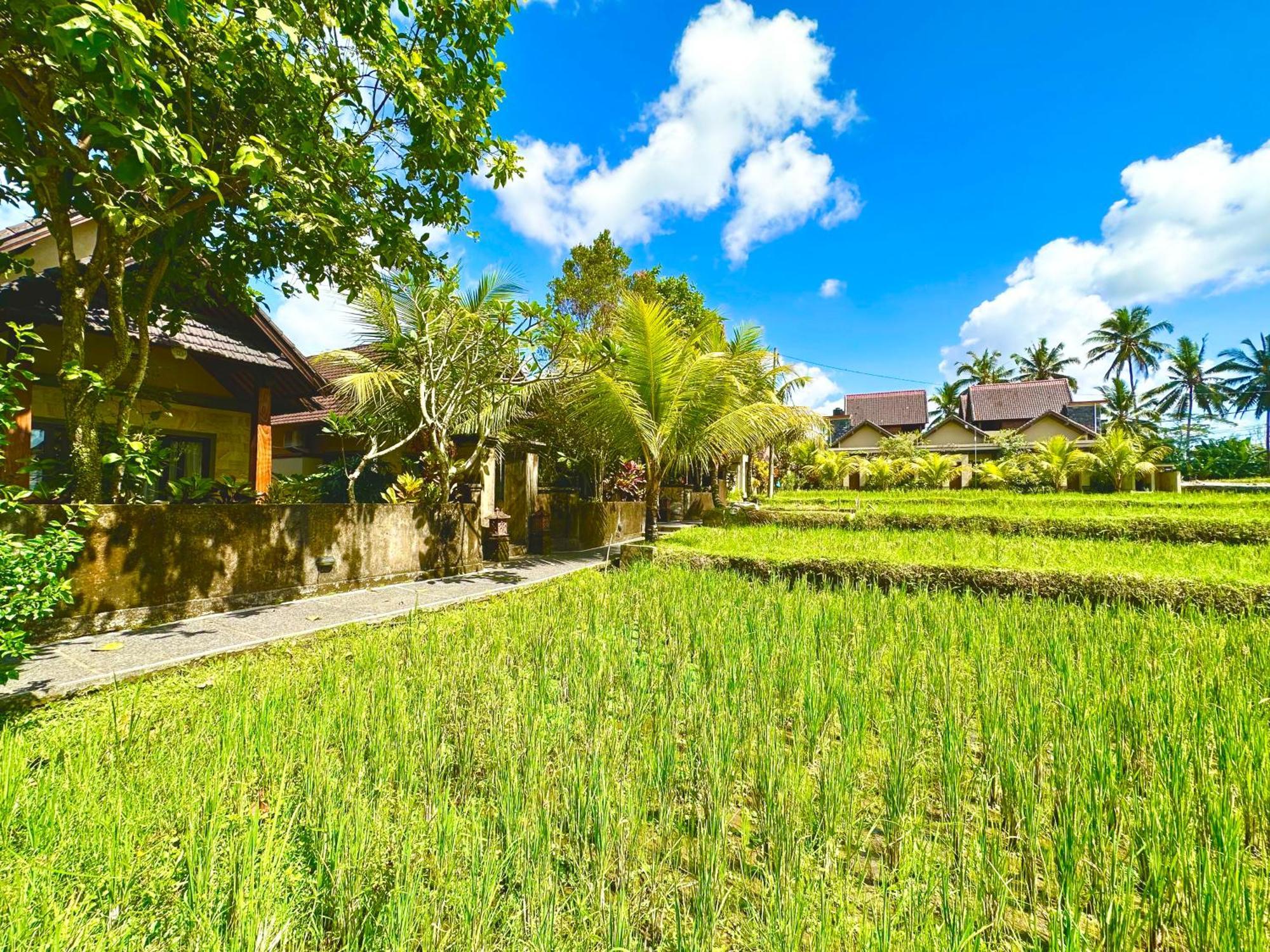 Dupa Ubud Exteriör bild
